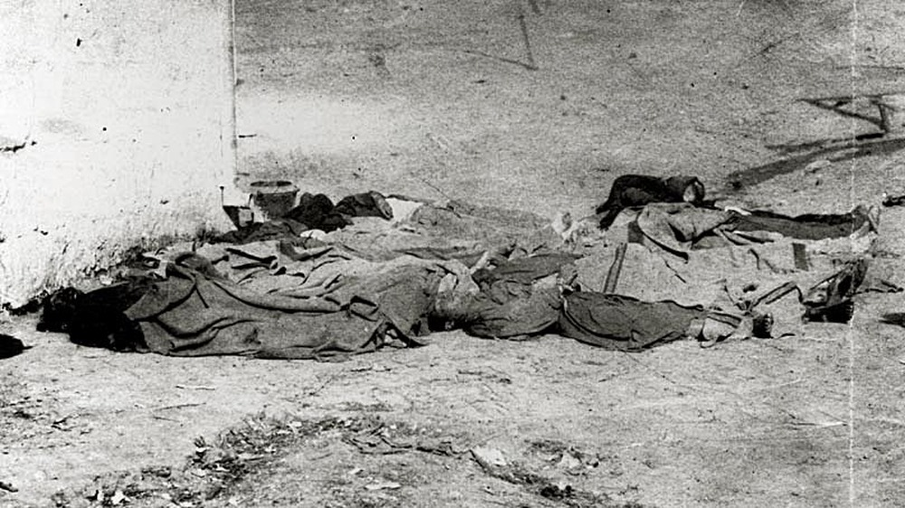 corpses after massacre