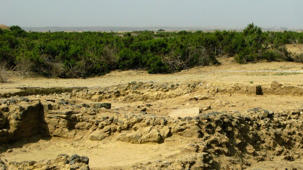 Axumite ruins