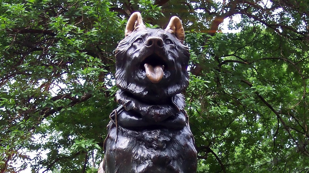 Balto statue in Central Park, surrounded by trees