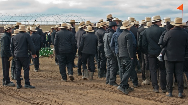 Group of Amish men