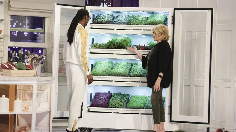 Snoop Dogg and Martha standing in front of a fridge of plants