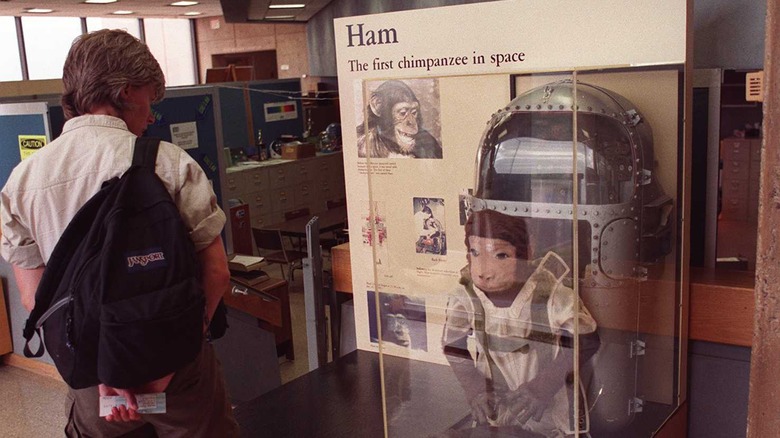Ham exhibit