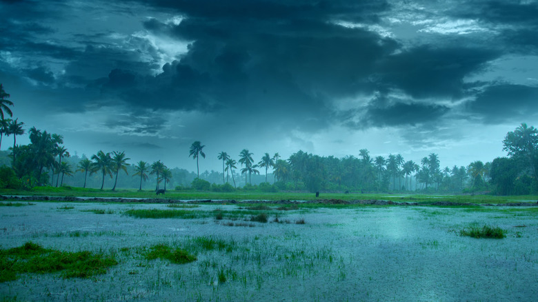 Kerala Monsoon rainfall