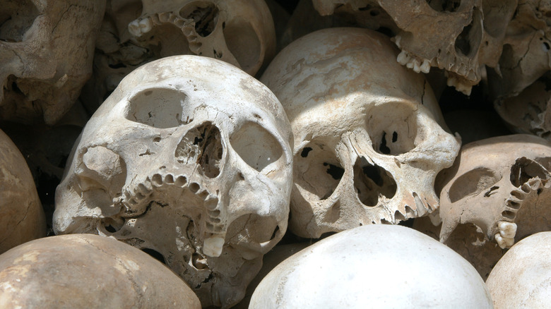 Piled skulls of Cambodian victims