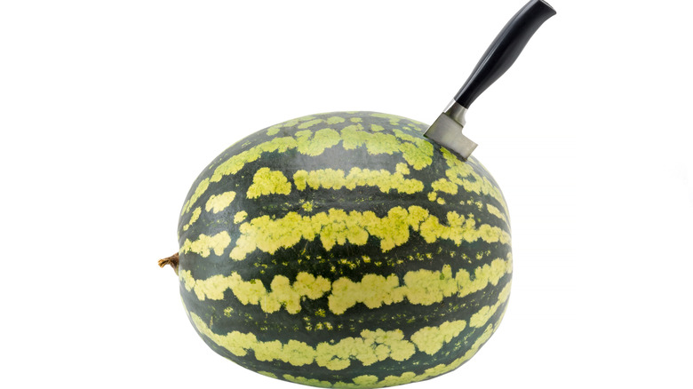 Melon stabbed with a knife
