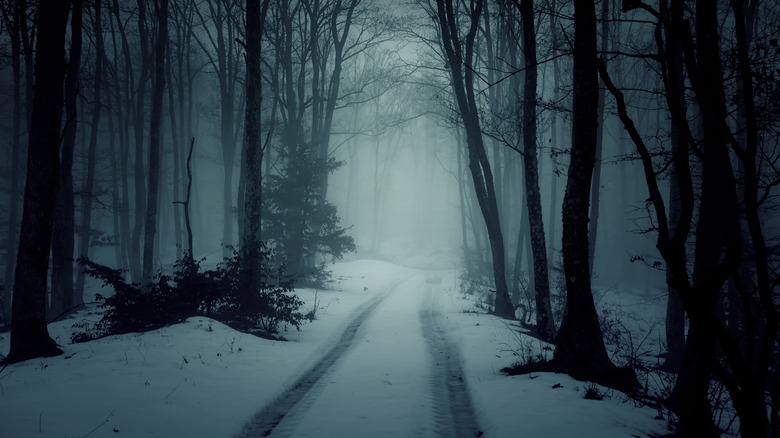 Snowy road in forest at night