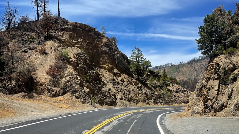 Mountain road in the Plumas National Forest
