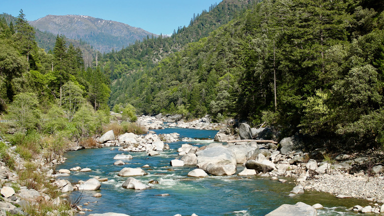 Plumas National Forest river