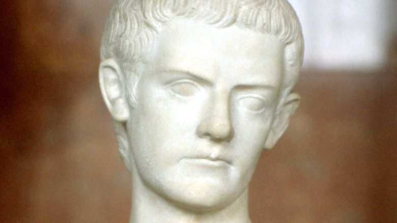 bust of Caligula