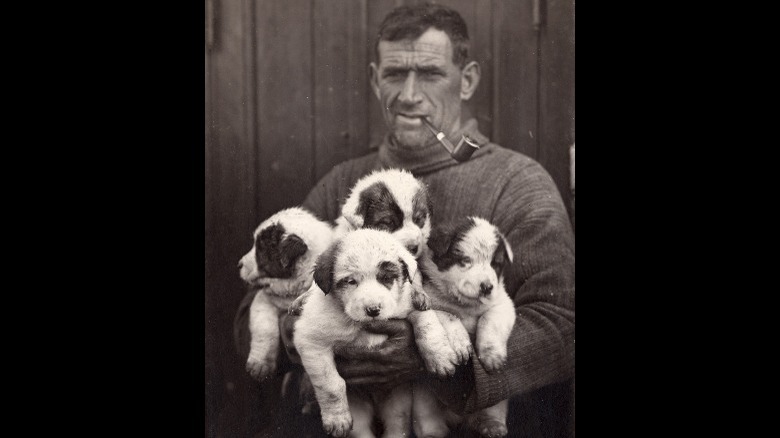Crewmember with dogs