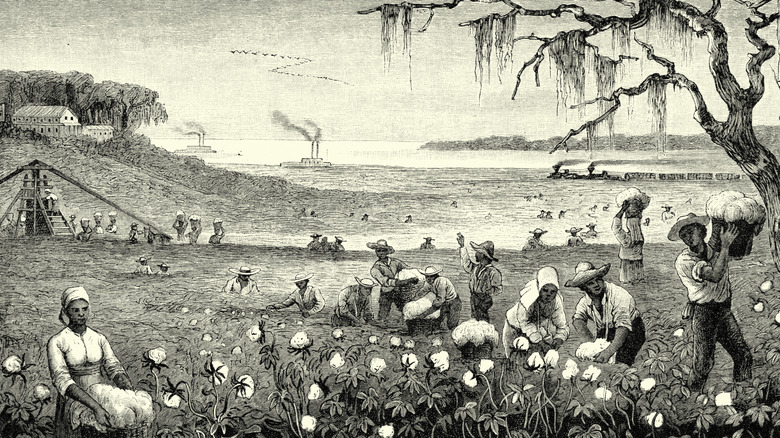 Enslaved people picking cotton, Louisiana