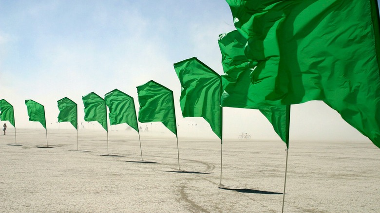 Row of green flags in desert