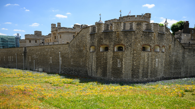 The walls of the Tower of London loom over a field