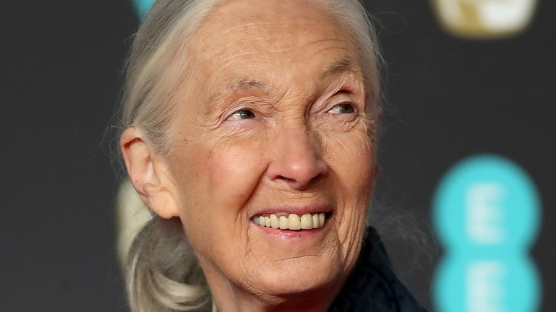 Jane Goodall smiles