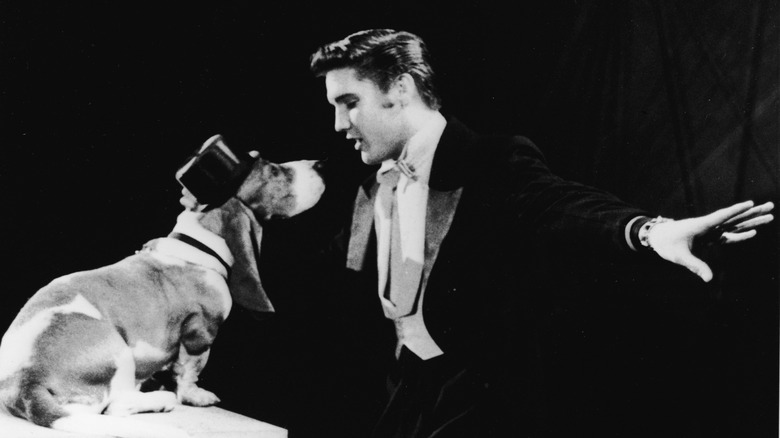 Elvis Presley performing Hound Dog