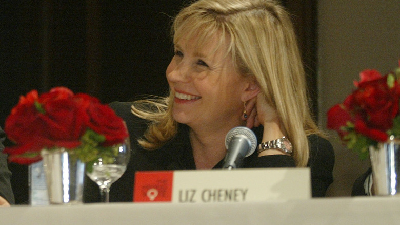 Liz Cheney smiles on panel