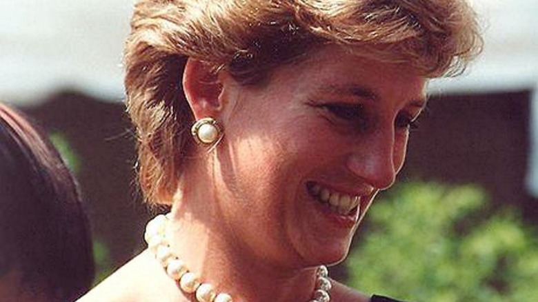 Cropped photo of Princess Diana in 1995