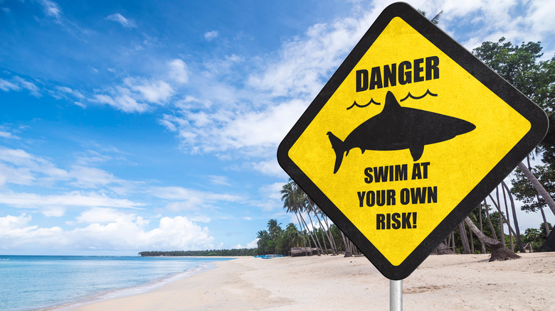 sign showing shark warning sign