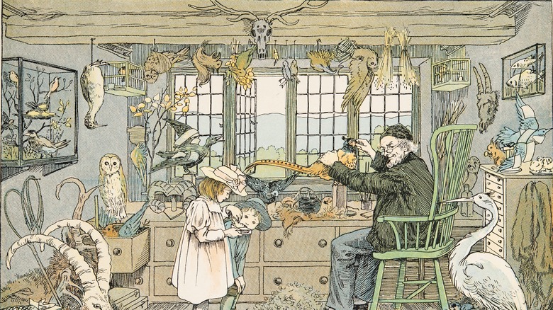 Bird Stuffer 1900 surrounded by animals