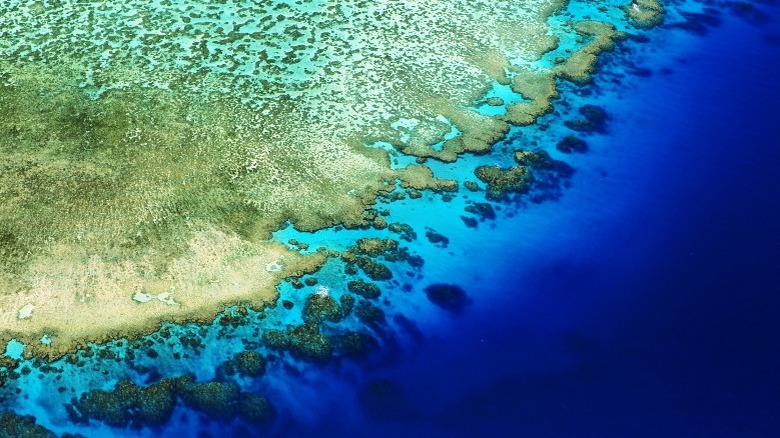 Aerial view of Lodestine Reef