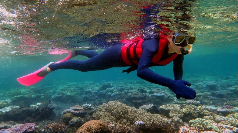 Woman snorkeling Great Barrier Reef
