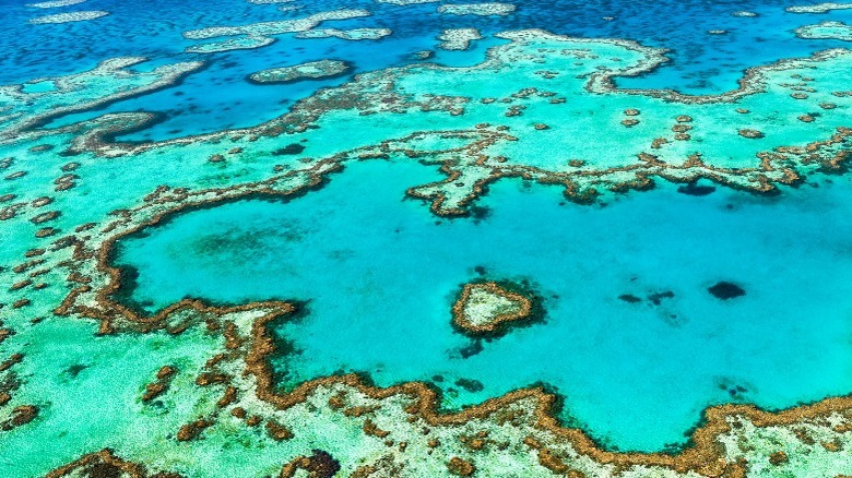 Heart Island, Great Barrier Reef