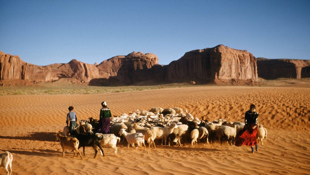 Diné family with their livestock in the dunes