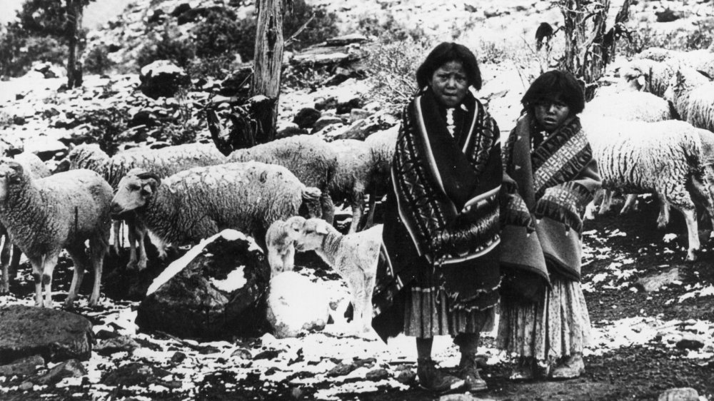 Two Diné children with livestock