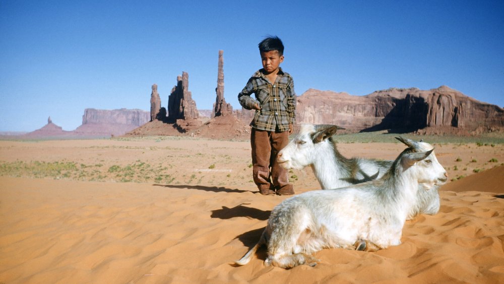 Diné child with two goats