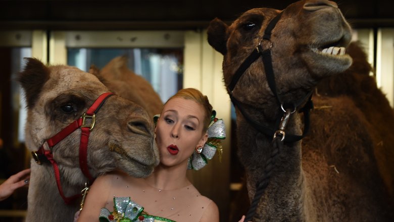Rockette with camels