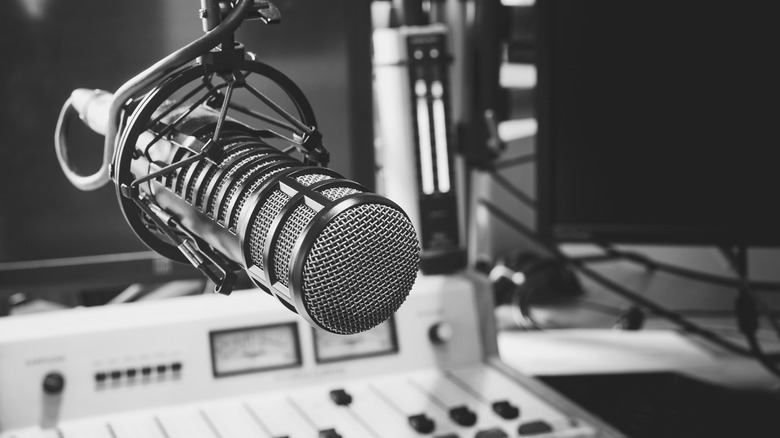 Radio station equipment and microphone