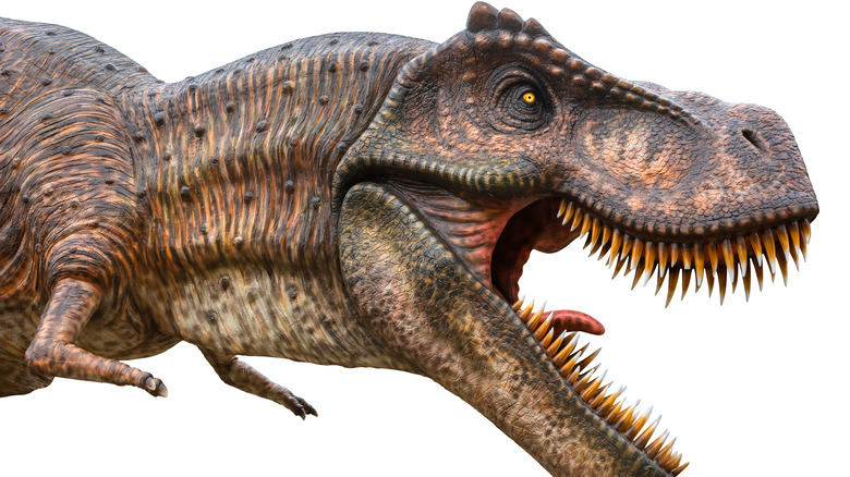 tyrannosaurus rex head and arms