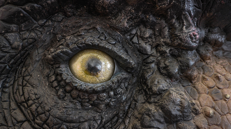 tyrannosaurus rex eye close-up