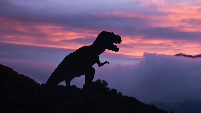 tyrannosaurus rex against sunset
