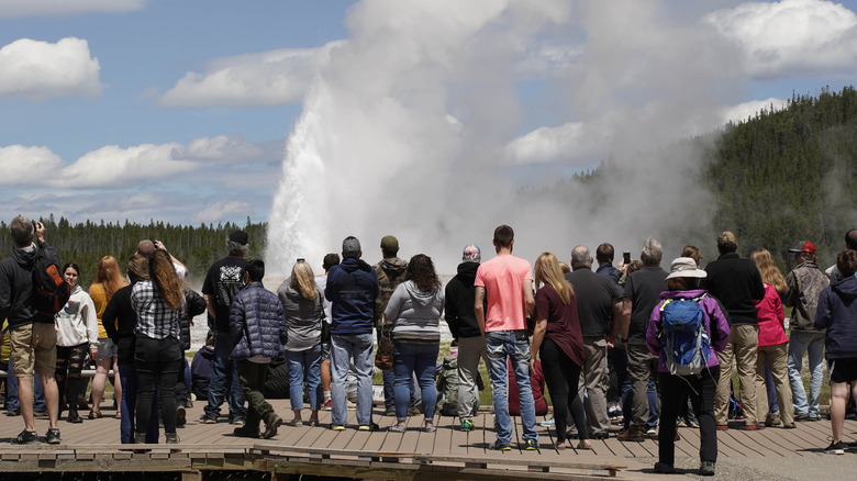 visitors watch Old Faithful erupt