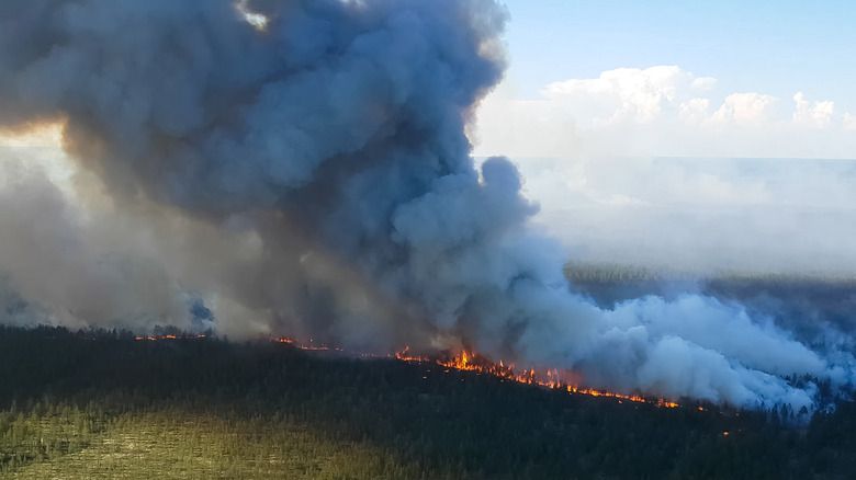 A wildfire in Russia 