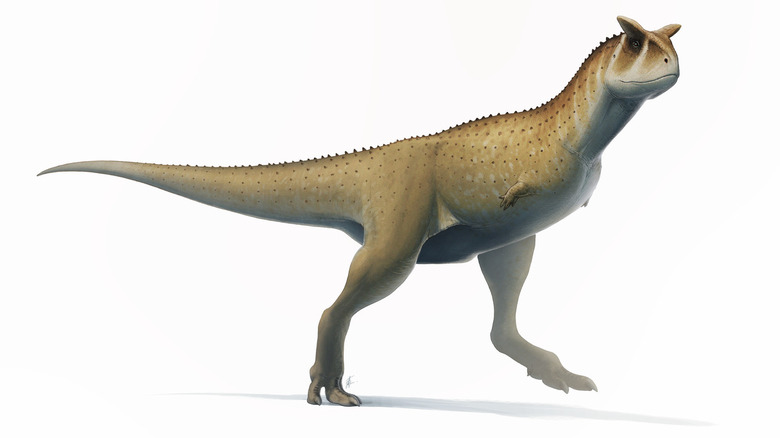 Carnotaurus sastrei artist reconstruction