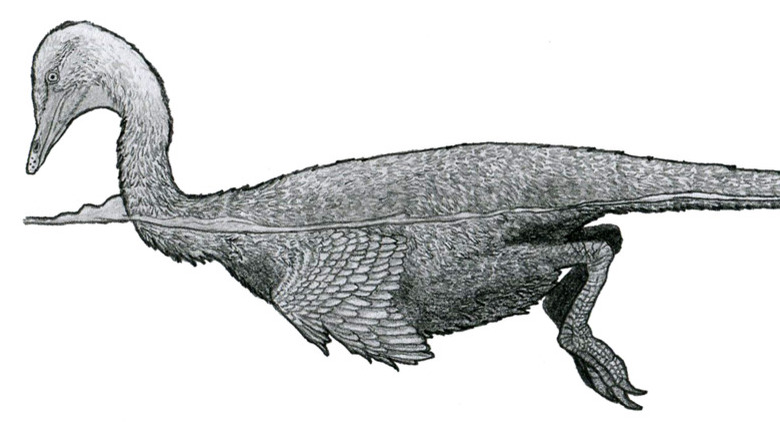 Halszkaraptor escuilliei artist reconstruction