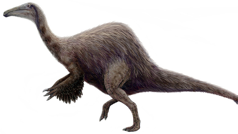 Deinocheirus mirificus artist reconstruction