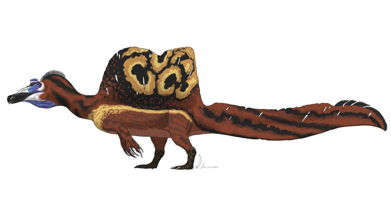 Spinosaurus aegyptiacus artist reconstruction