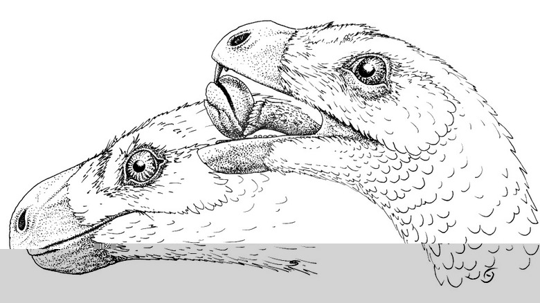 Incisivosaurus gauthieri artist reconstruction