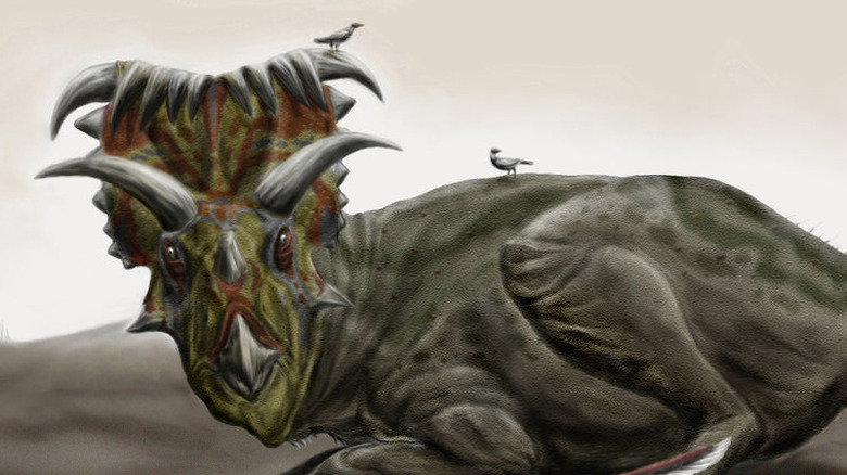 Kosmoceratops richardsoni artist reconstruction 