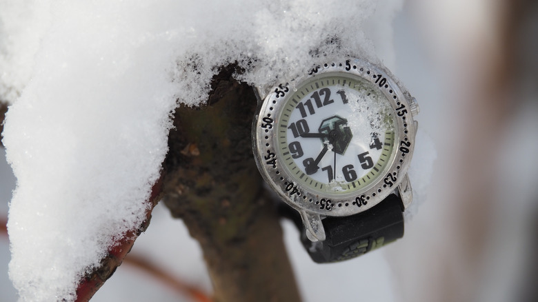 wrist watch lost snow