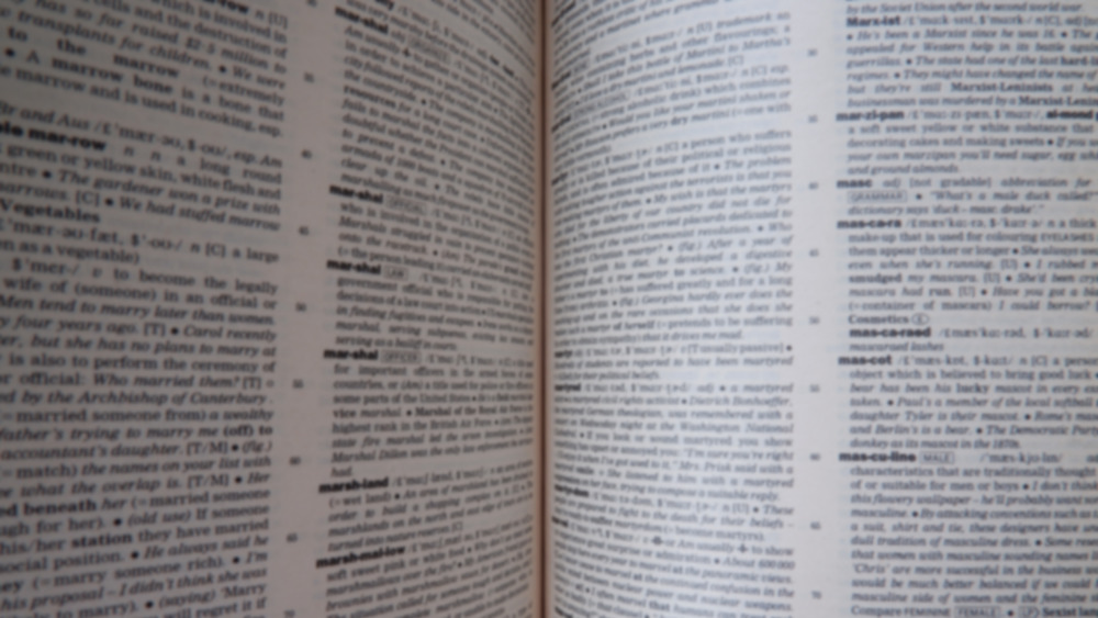 Dictionary pages