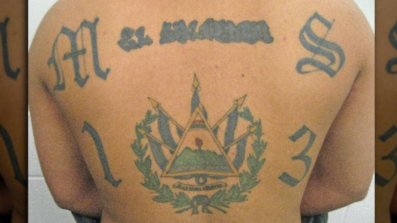 MS-13 member showing back tattoo