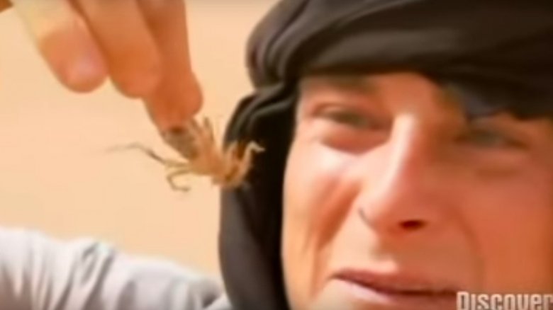 Bear Grylls eats a camel spider