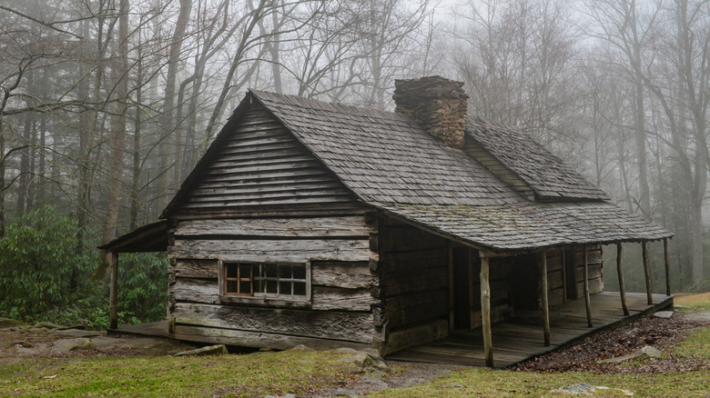 An old cabin in the woods
