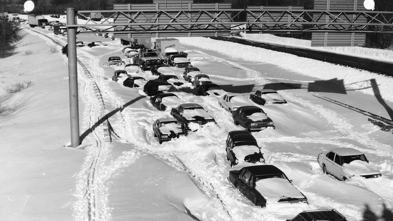 Cars buried by snow on highway