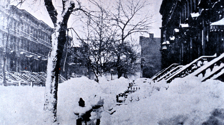 snow-covered Brooklyn street 1888