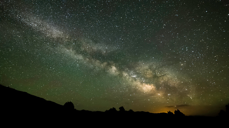 Milky Way over sillouhette of desert brush  